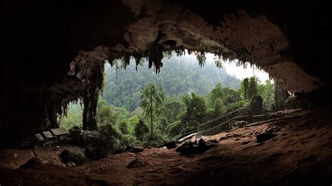 Niah National Park: Een Prehistorische Reis Door de Tijd!